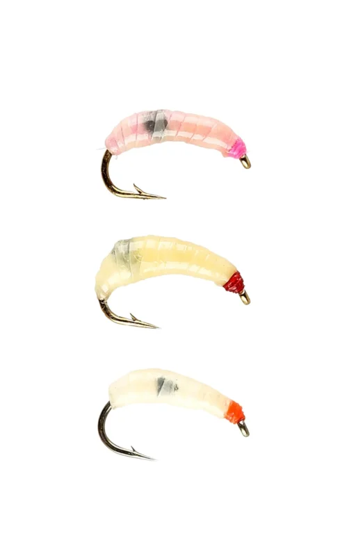 risnedsättning IFISH Maggots