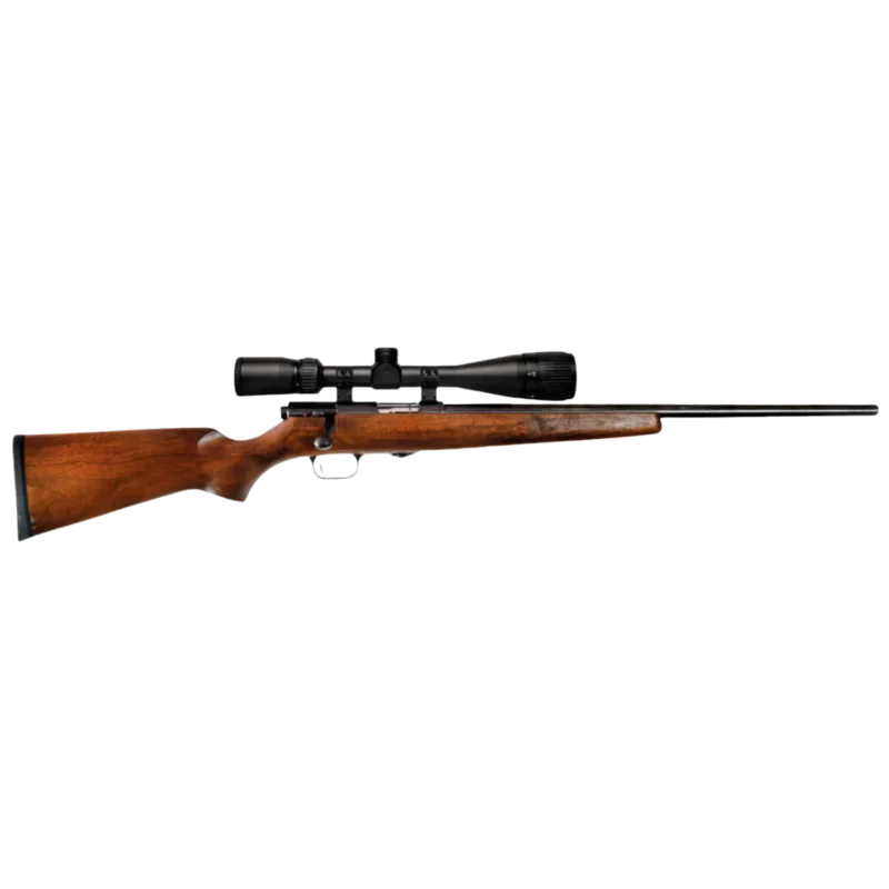 Vapenpaket Weihrauch HW 66P .22LR Billig