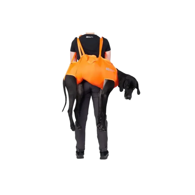 Handla nu Non Stop Dog Rescue Sling