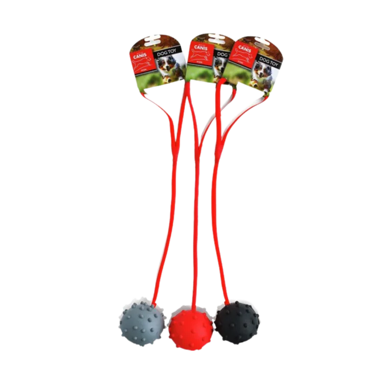 Active Canis Ball with rope Reapris