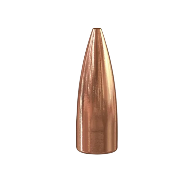 Populär Speer TNT HP .30 125gr