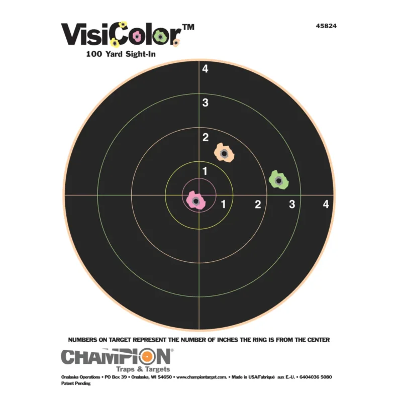 Lägg i varukorgen Champion Visi-Shot Färg 8" 10-p