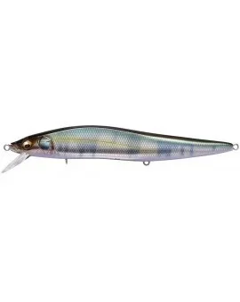 MEGABASS VISION LBO Sista chansen