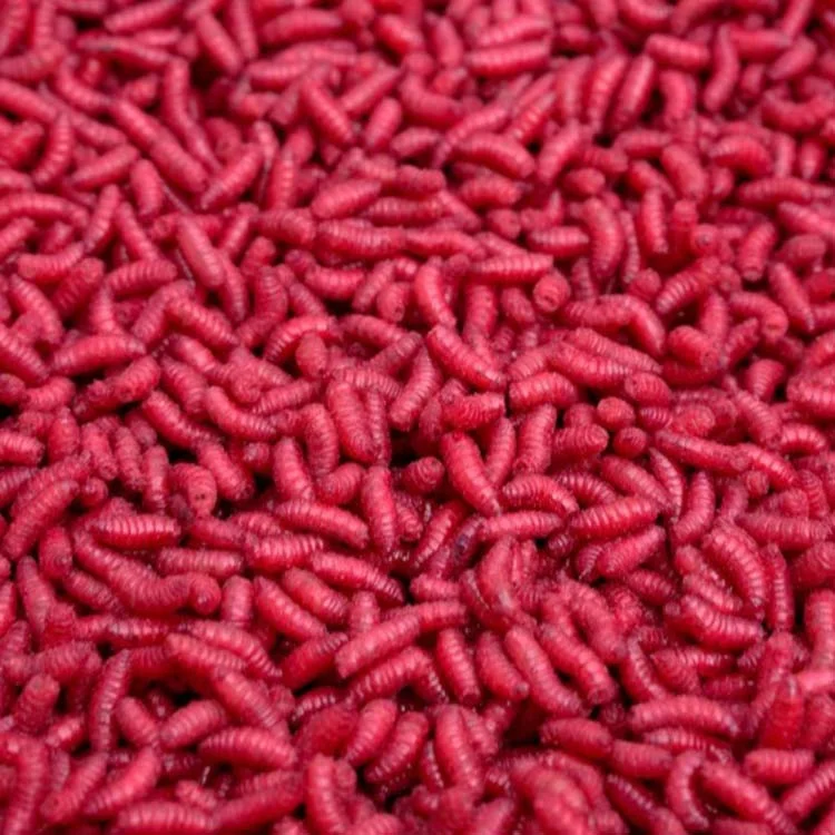 Fri frakt LEVANDE MAGGOT RÖDA 1LITER