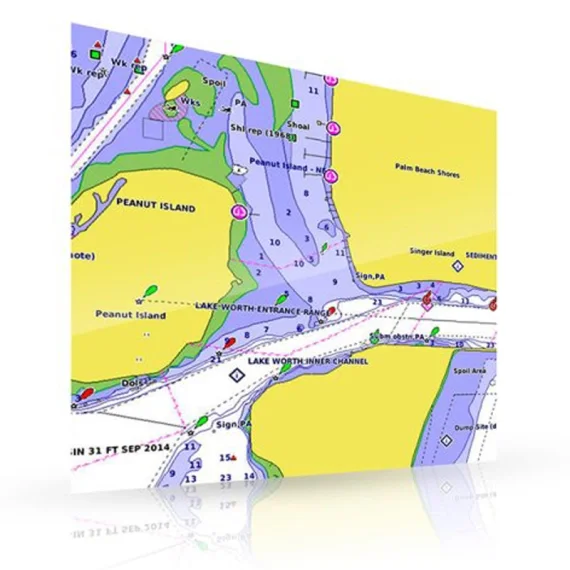 Expressleverans Garmin Bluechart G3