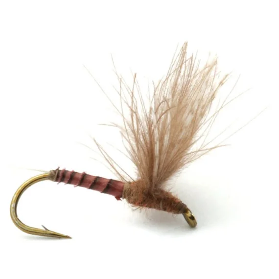 risnedsättning Guideline CDC Biot Comparadun Quill G #16
