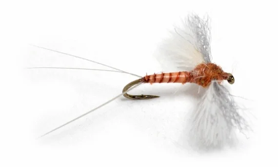 Lägg i varukorgen CDC Biot Spinner Rusty