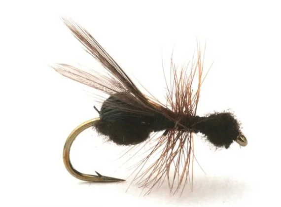 Kundfavorit Guideline Flying Ant / Myra Black # 12