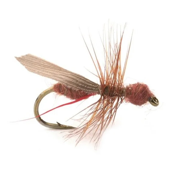Premium Guideline Flying Ant / Myra Cinnamon # 12