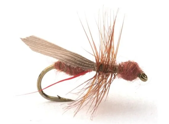 Guideline Flying Ant / Myra Cinnamon # 16 Snabb leverans