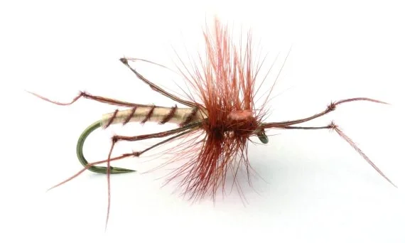 Daddy Long Legs Tørr - 10 Billig