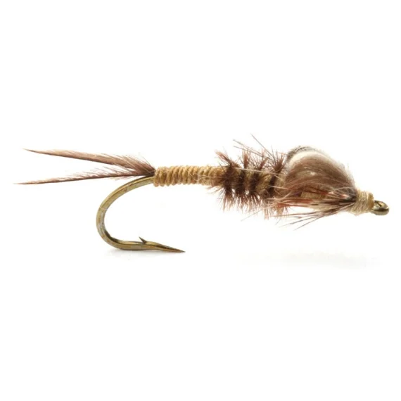 Vulgata Klekker Nymfe - 8 Beställ nu
