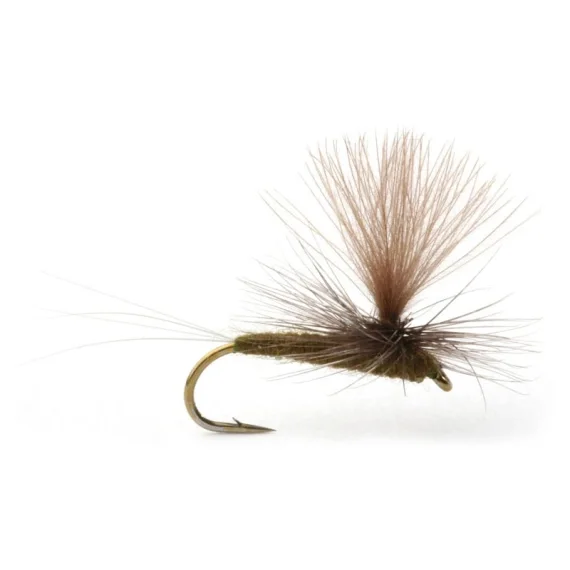 Baetis Dark Olive - 14 Extra rabatt