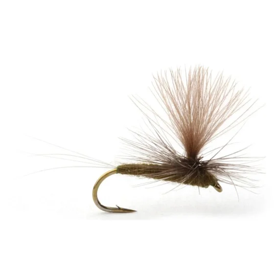 Rea Guideline Baetis Dark Olive