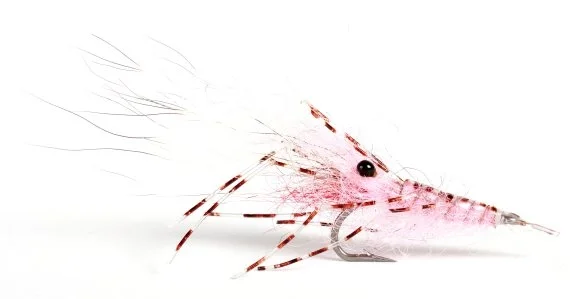 Säker betalning Leoshrimp Pink #6