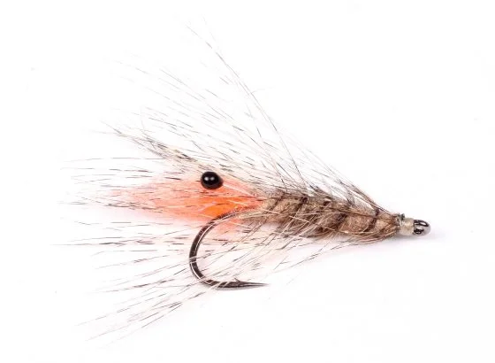 Laser Shrimp #8 Fynd