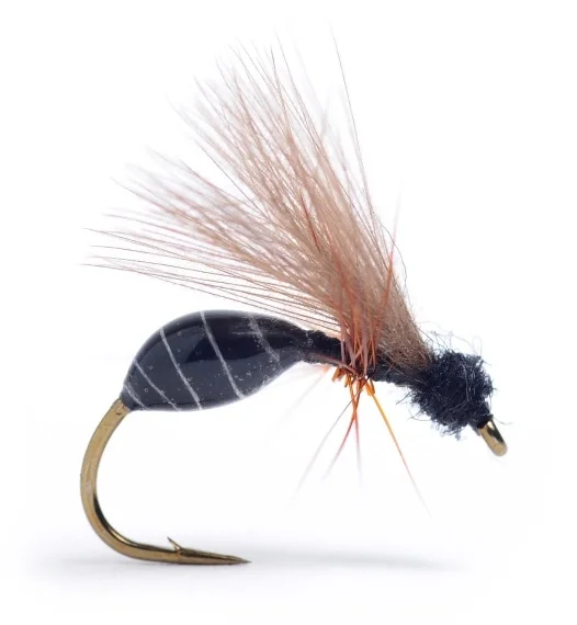 Expressleverans RS Glue Ant Black #14