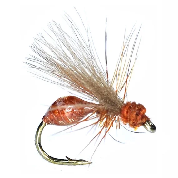 Köp online RS Glue Ant Rusty Brown #14