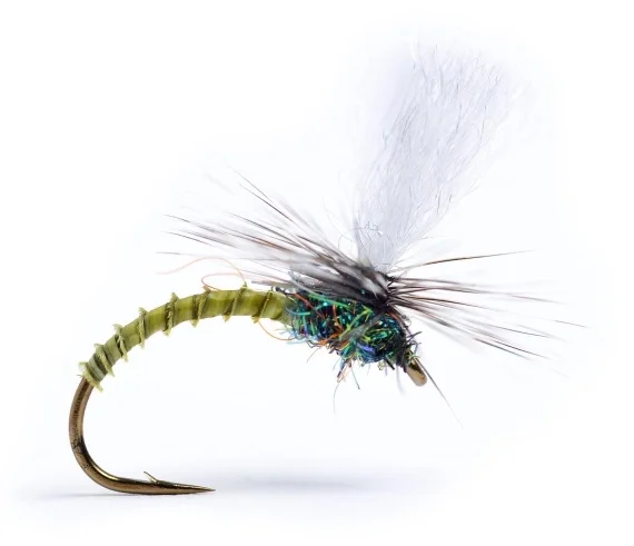 Fri frakt Klink Lt. Olive Biot #16