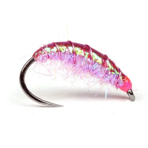 Kampanj Funky Shrimp
