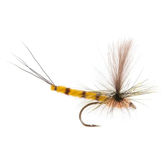 Fynd Guideline GL Vulgata Dun #10