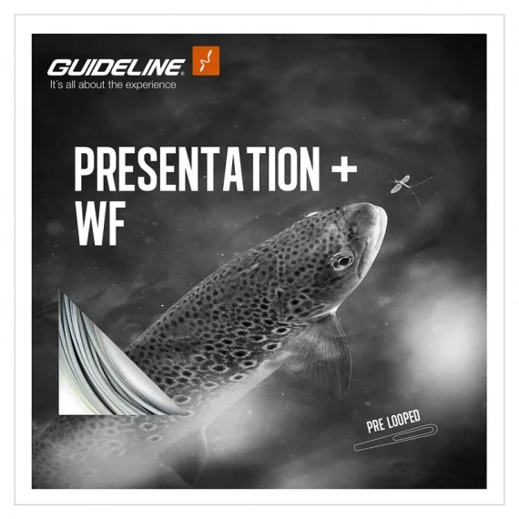 Expressleverans Guideline Presentation+ WF