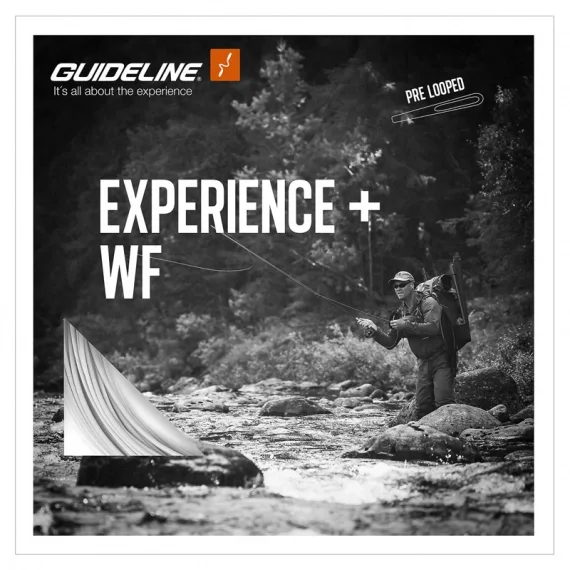Guideline Experience+ Begränsad tid