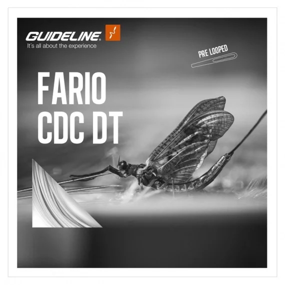 Premium Guideline Fario CDC DT