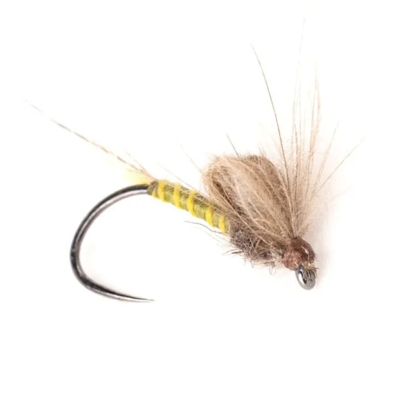 risnedsättning Guideline Bubble Emerger Olive