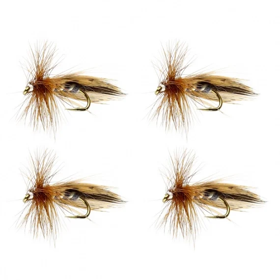 Beställ nu Pool 12 Europa 12 (4-pack)