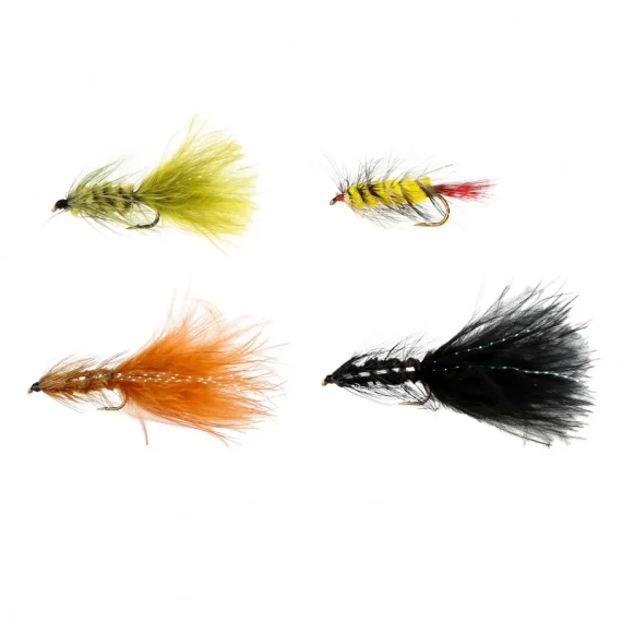 Lågt pris Pool 12 Wolly Bugger (4-pack)
