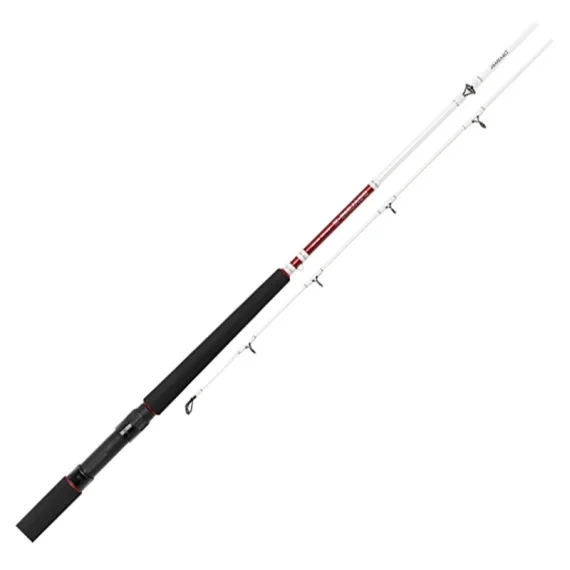 Daiwa Sealine Z Trolling Begränsat erbjudande