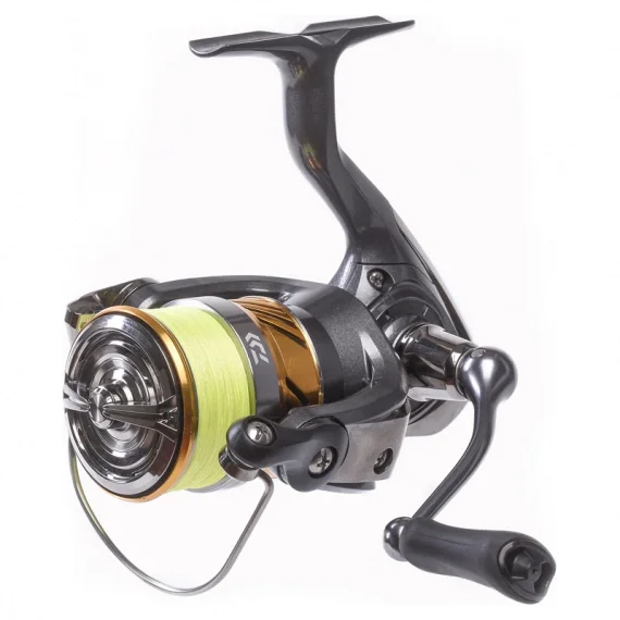 Daiwa 20 Laguna LT ink. J-Braid X4 YL Sista chansen