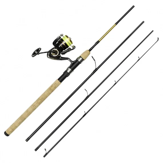Daiwa Crossfire LT4000-C Gold Rush 10' 4pc 20-60G/0.25YL Billig