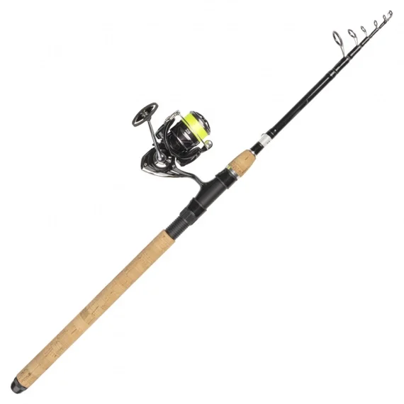 Daiwa Ninja LT2500 Black Silver 240 Tele 10-40G/0.19YL Populärt val
