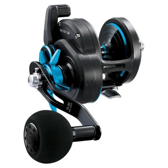 risnedsättning Daiwa 18 Saltist 15H