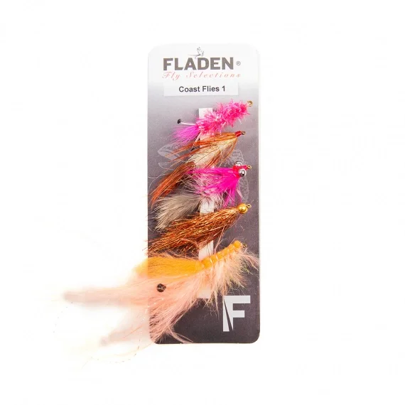Lågt pris Fladen Maxximus Flies 5-pack Coast 1