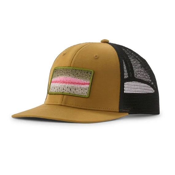 Beställ idag Patagonia Take a Stand Trucker Hat RNBB