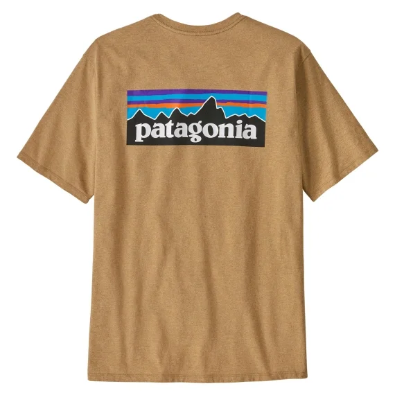 Patagonia M's P-6 Logo Responsibili-Tee TNGO Populärt val