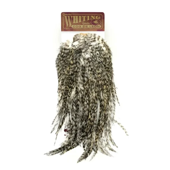 Kampanjpris Whiting Coq de Leon Bronze Saddle