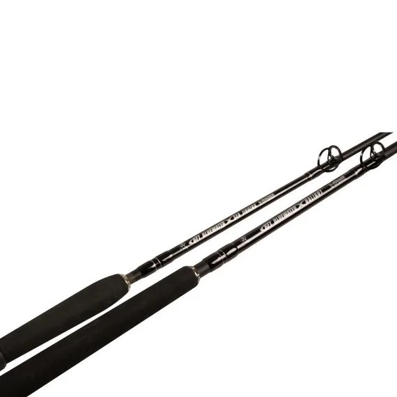 BFT Blue Water, Sea Jigging 5.8' Black Edition -450g, 2pcs risnedsättning