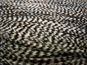 Whiting High & Dry Hackle Cape Lägg i varukorgen