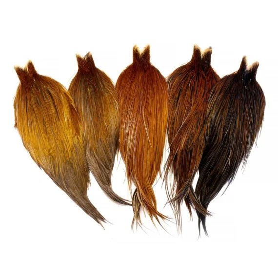 Sista chansen Whiting Heritage Hackle Cape
