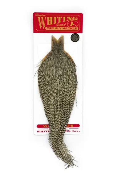 Whiting Silver Cape Trygg betalning