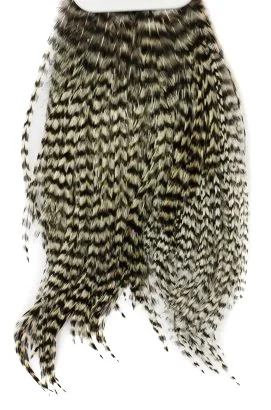 Whiting Bugger Pack Köp online