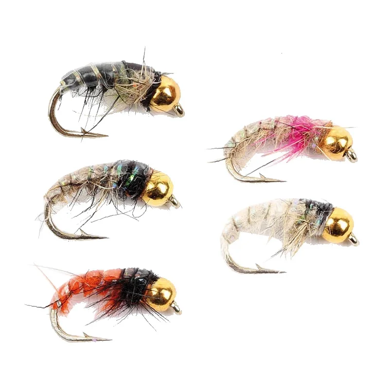Nyhet Gold Head Czech Nymphs 5-pack