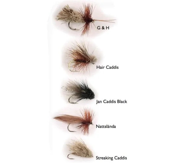 Beställ idag Dry Fly Sedges 5-pack