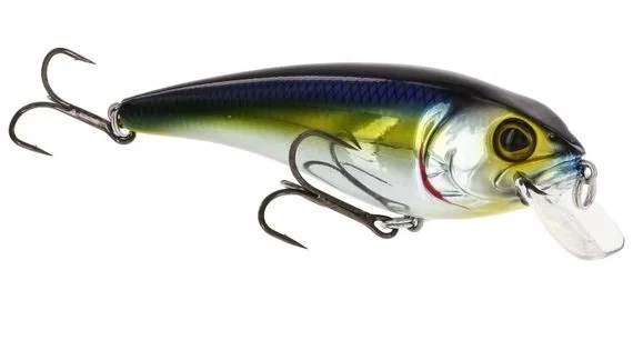 Snabb leverans Westin RawBite 11cm 27g Low Floating