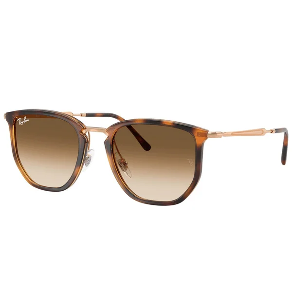 RB4451 Polished Transparent Orange Clear Gradient Brown Sänkt pris