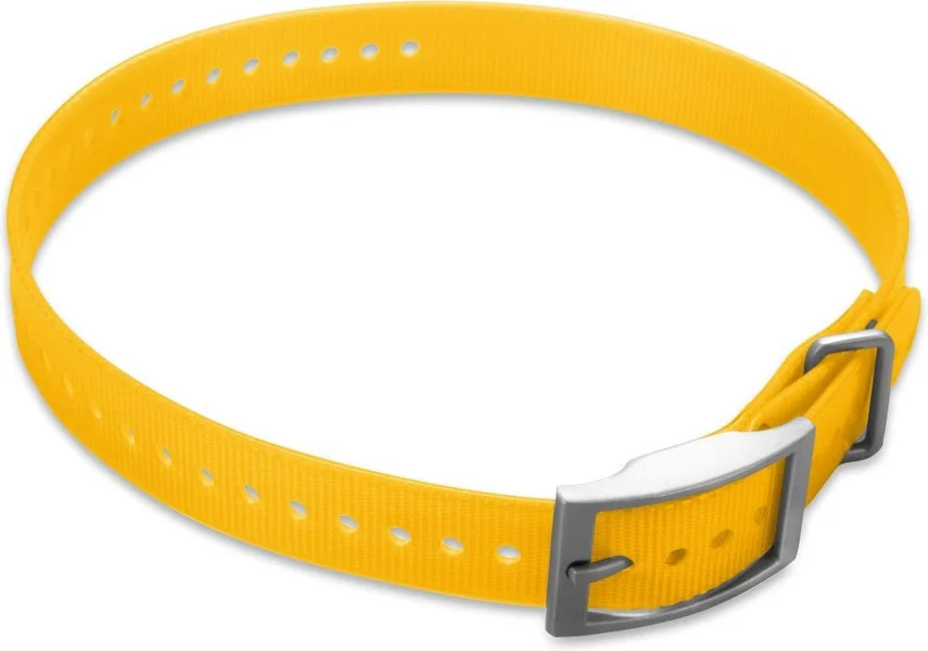 Halsband T5 Gult 1 tum Sänkt pris